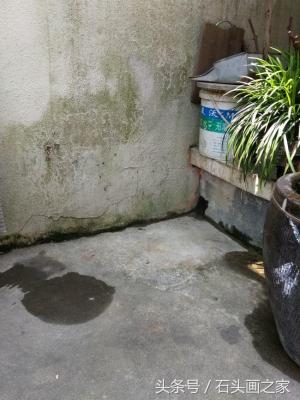 淘宝鱼池是什么原因,你是如何看待这个事情