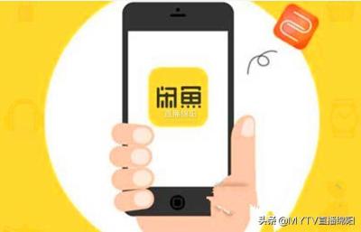 闲鱼卖家为什么要转账付款,买家自己要求直接打入我的支付宝