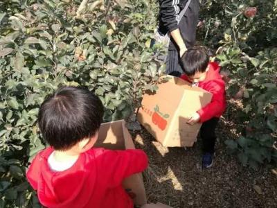 直通车如何返回老版界面,淘宝直通车如何进行推广及优化