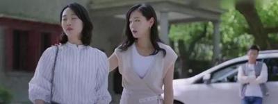 南方宠物店微信群贴吧,狗子如果寄养宠物店一个月会怎么样