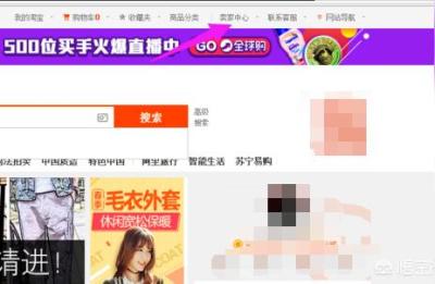 如何查淘宝卖家总收入多少,支付宝的月账单怎么查询
