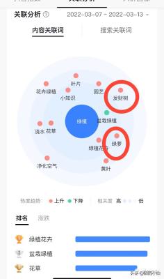 橱窗爆款怎么选类目,如何用抖音小店添加自己的商品