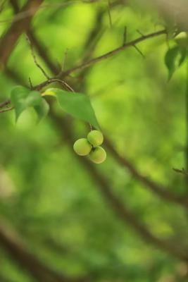 淘宝夏日惊喜是什么,如何评价爱奇艺乐队的夏天