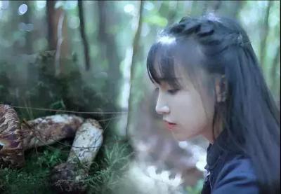 淘宝刷热度是什么,千牛淘宝访客如何人气高