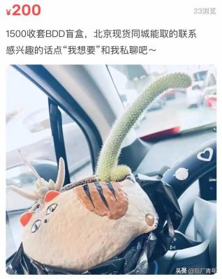 怎么在闲鱼发求购信息,闲鱼上怎么看到别人的求购