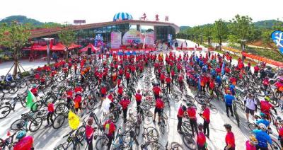 淘宝客都能卖什么,深圳炒房的人现在都怎么样了