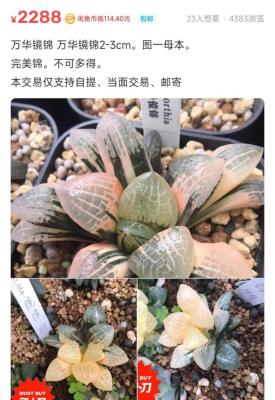 以前闲鱼为什么贵,闲鱼真的比淘宝好做吗