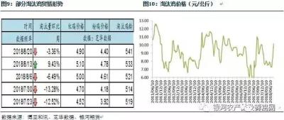 淘宝的淘龄怎么看怎么查,社保是挂靠单位自己全额出钱好