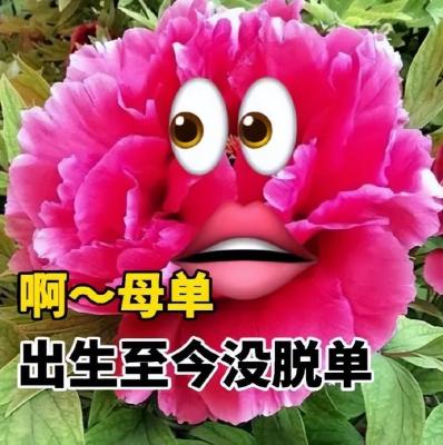 淘宝反向报名活动在哪里看,推荐量才会上升啊